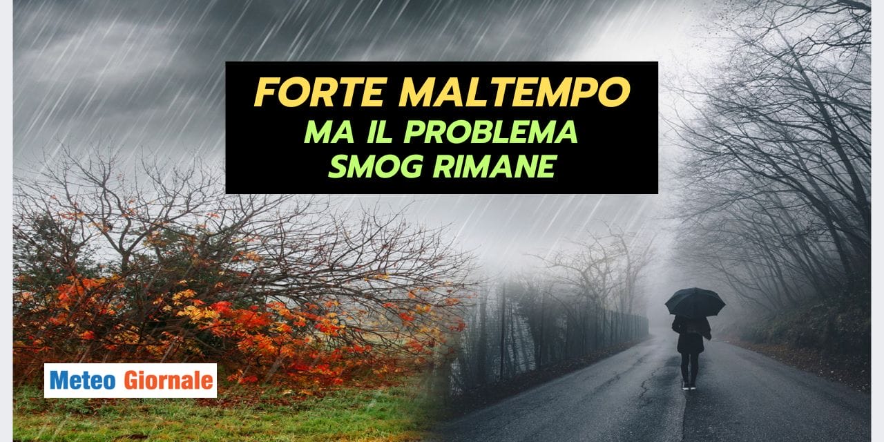 ESTATE STRANA 2024 02 22T124629.485