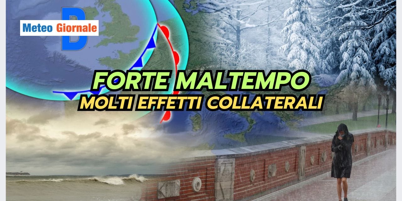 ESTATE STRANA 2024 02 22T125657.171