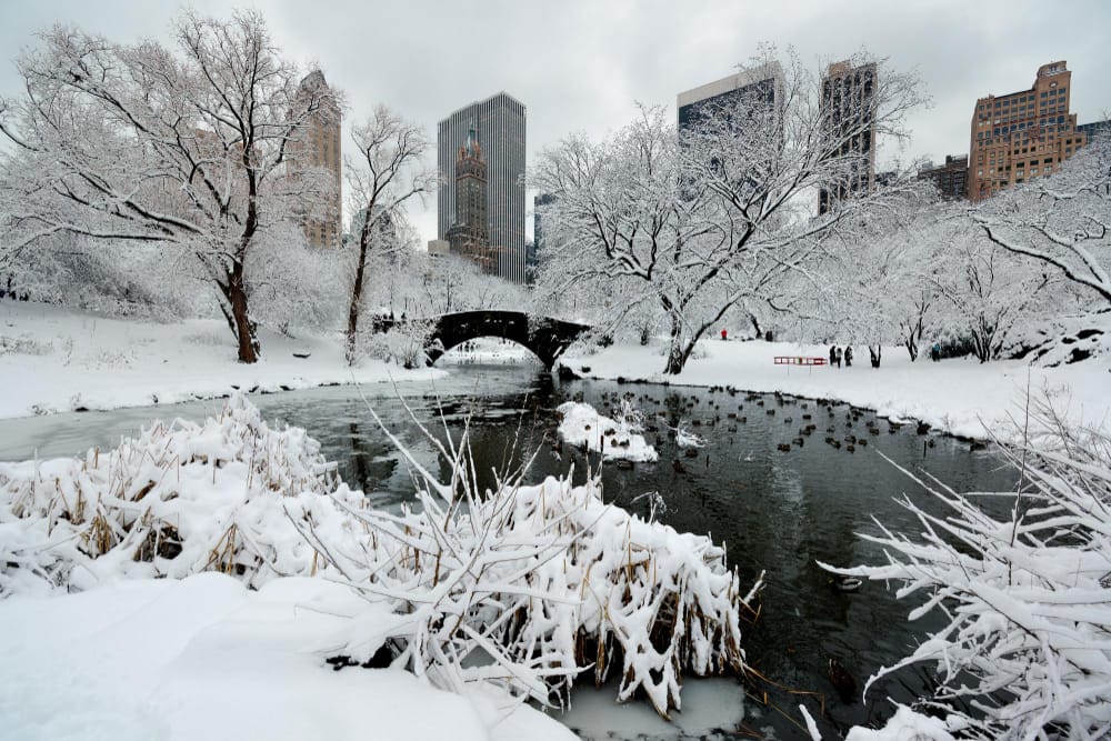 central park winter with skyscrapers bridge midtown manhattan new york city