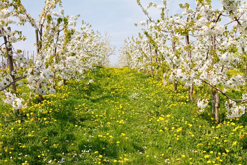 dreamstime s 14639131