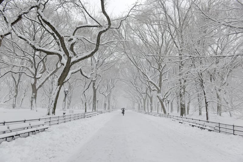 Avviso di viaggio a NYC per neve; sospensione parcheggio alternato sabato