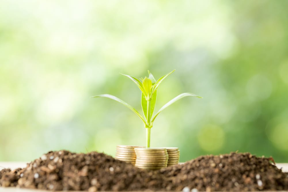 La finanza sarà più “green”? Il patto tra ambientalisti e Unione Europea