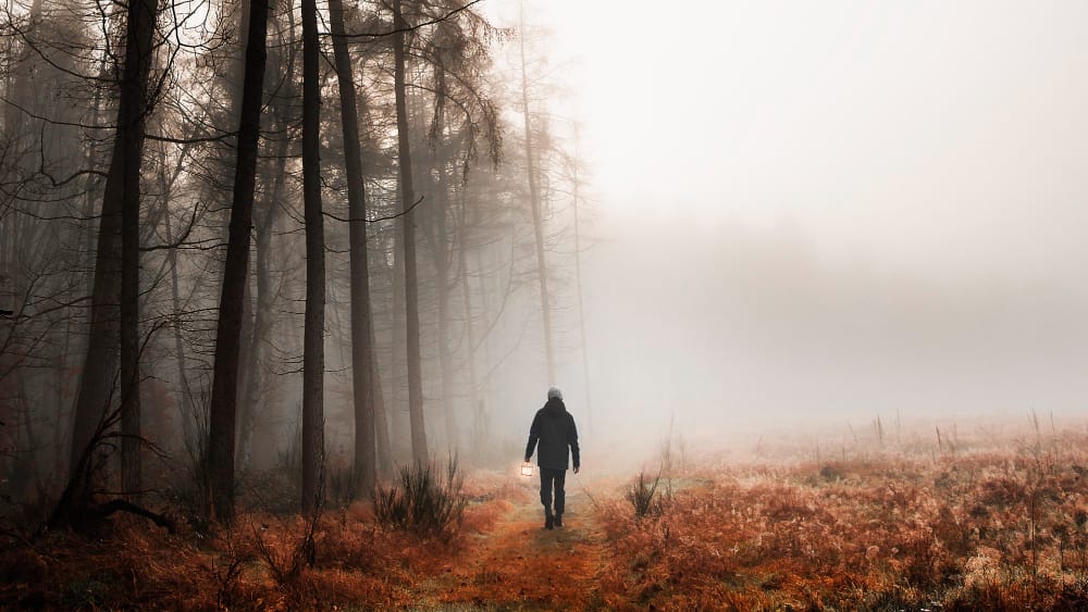 man walking misty woods mobile phone wallpaper