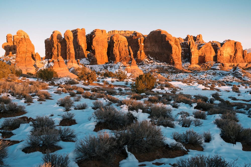 neve arizona