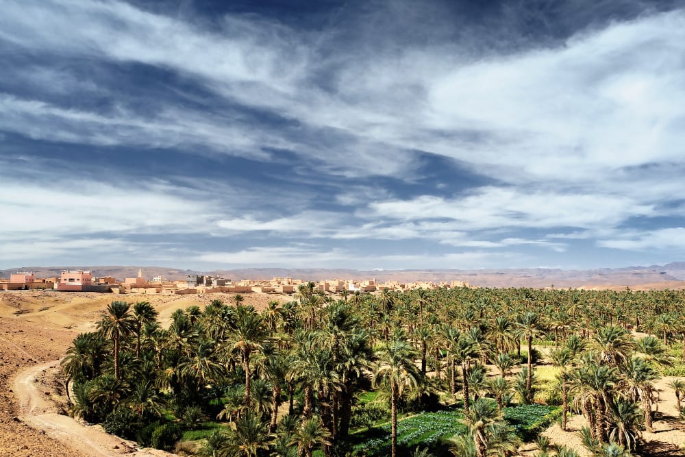 oasi nel deserto libico