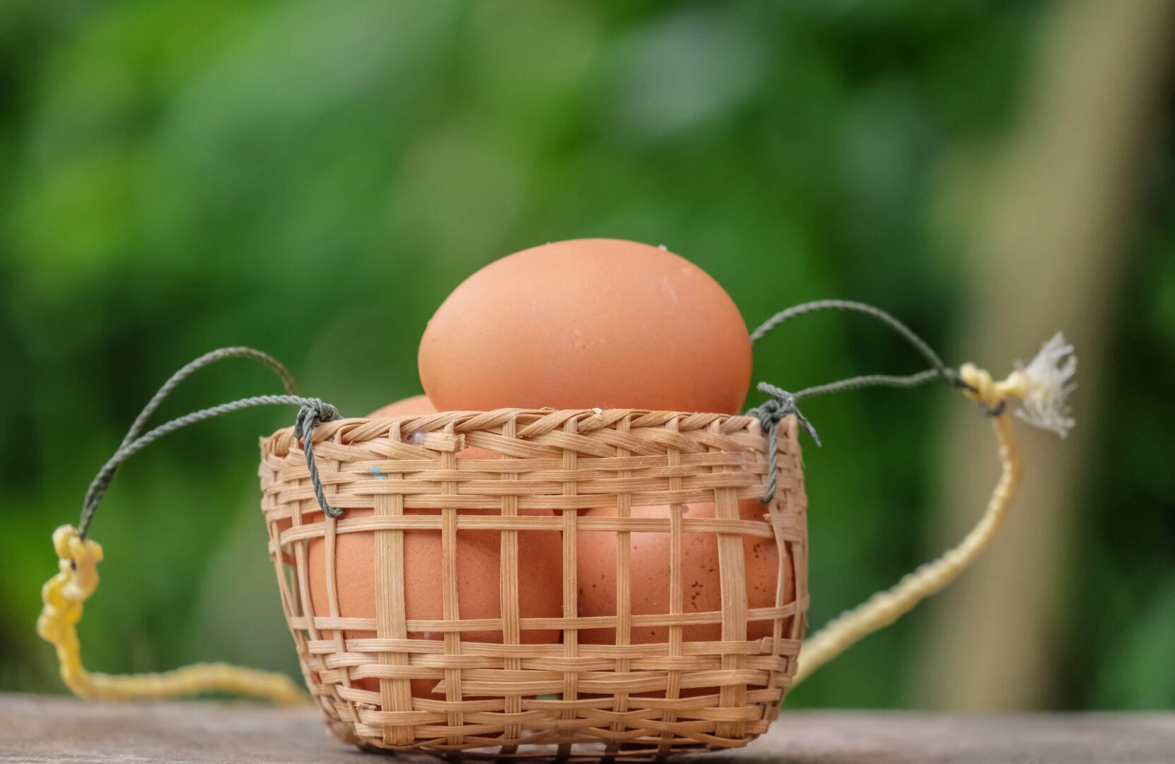Anomala forma delle uova di gallina in Australia
