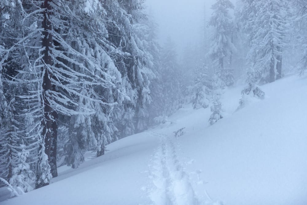 tempesta di neve montagne rocciose