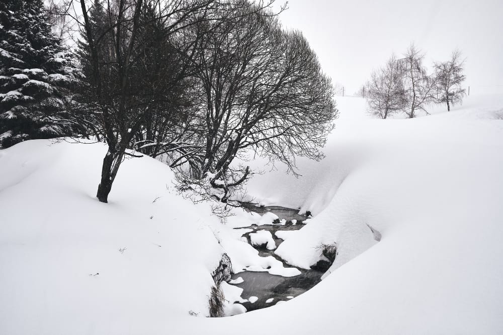 tempesta di neve nuova scozia