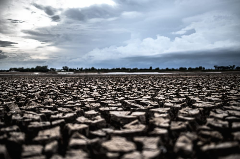 Siccità: la nuova normalità del Mediterraneo. La causa? Il cambiamento climatico