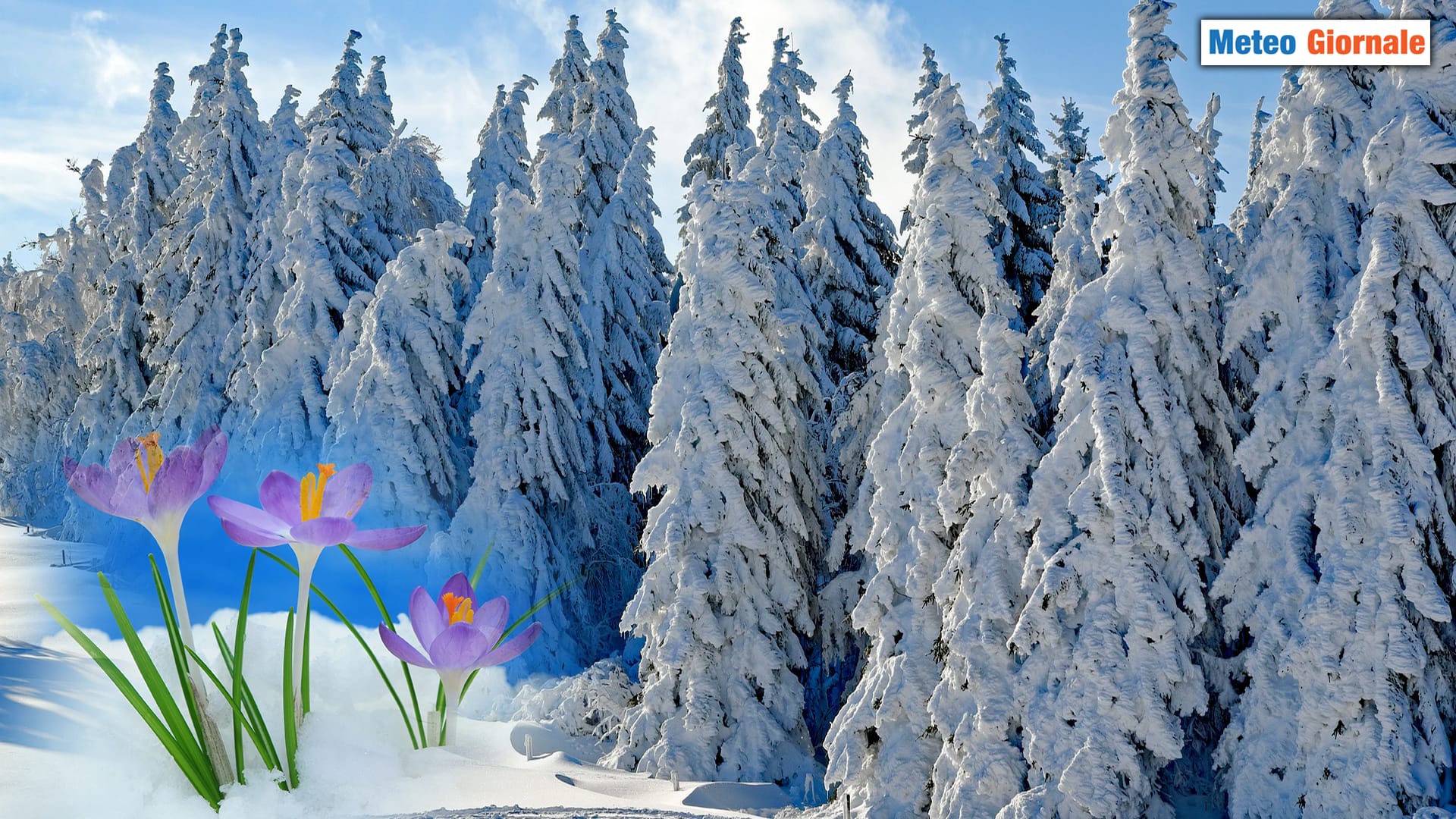 La magia meteo della NEVE “marzolina”