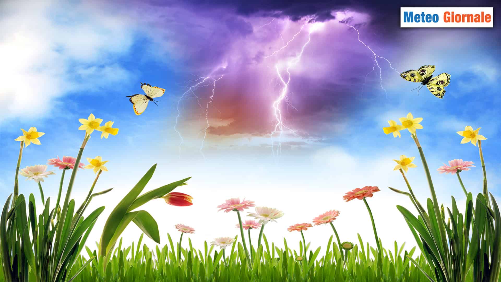 Niente meteo d’INVERNO e d’AUTUNNO? Tranquilli, c’è la PRIMAVERA