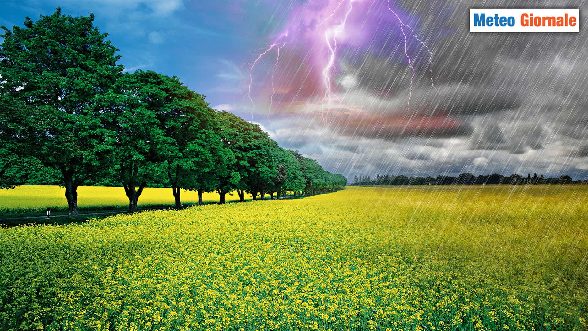 MARZO ha risposto “presente”. Il METEO primaverile c’è