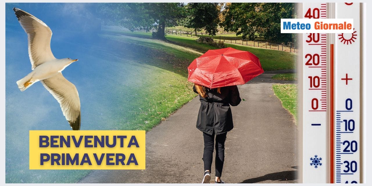 ESTATE STRANA 2024 03 03T135608.018