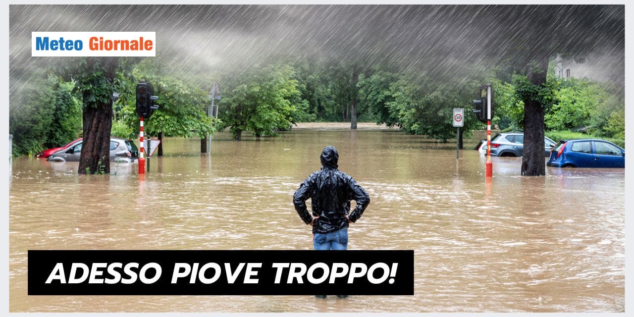 ESTATE STRANA 2024 03 03T190455.624