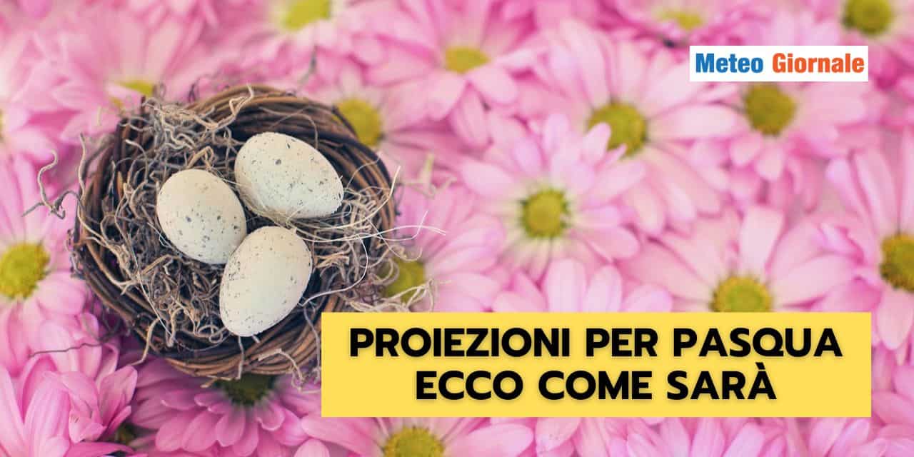 ESTATE STRANA 2024 03 13T095627.357
