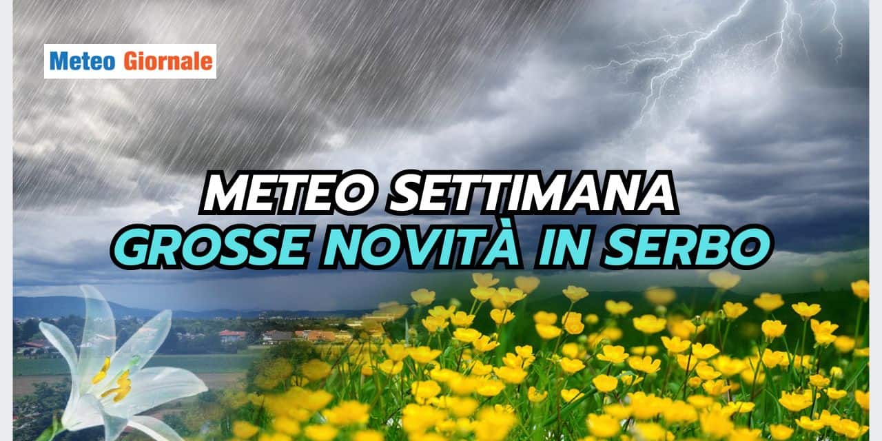 ESTATE STRANA 2024 03 17T193731.675