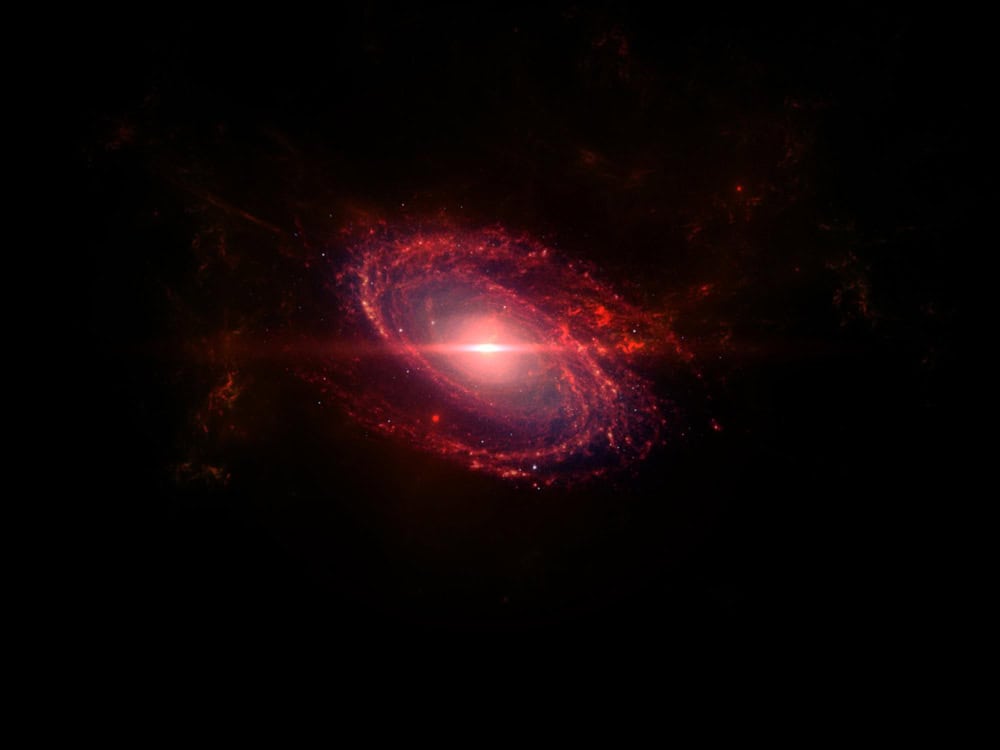 baby quasar rossi