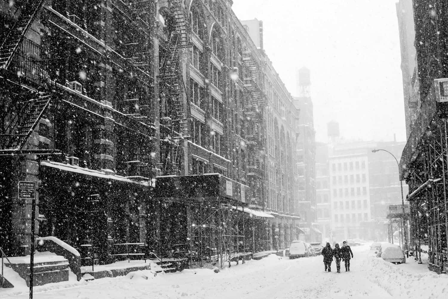 bufera neve new york
