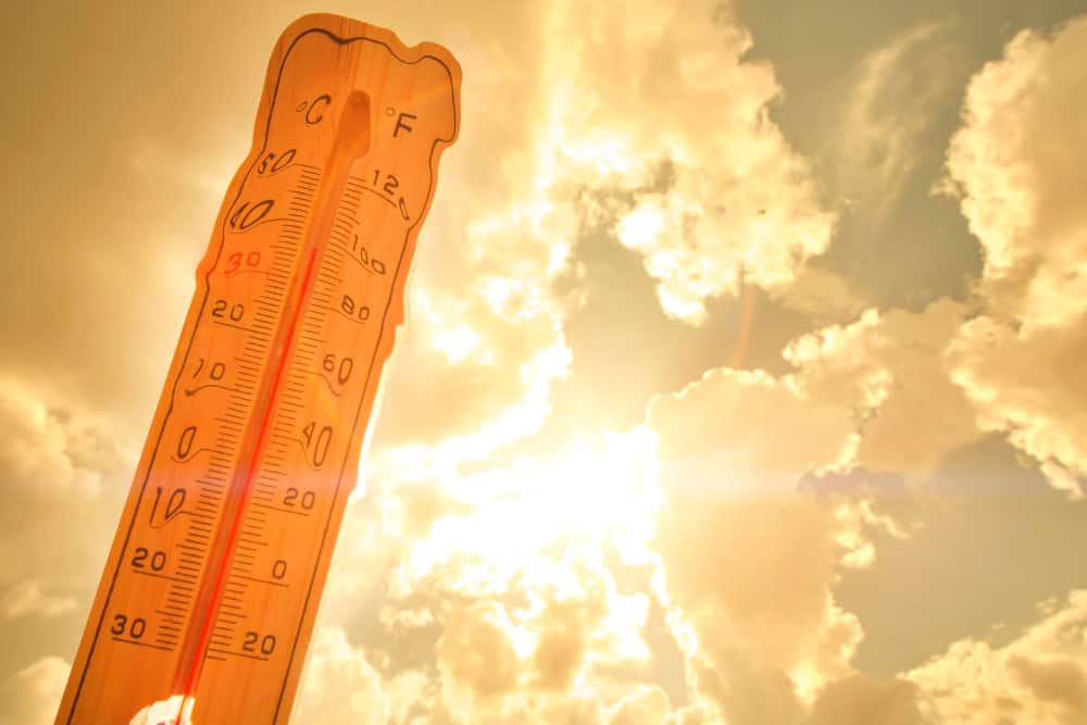 caldo atroce rio de janeiro
