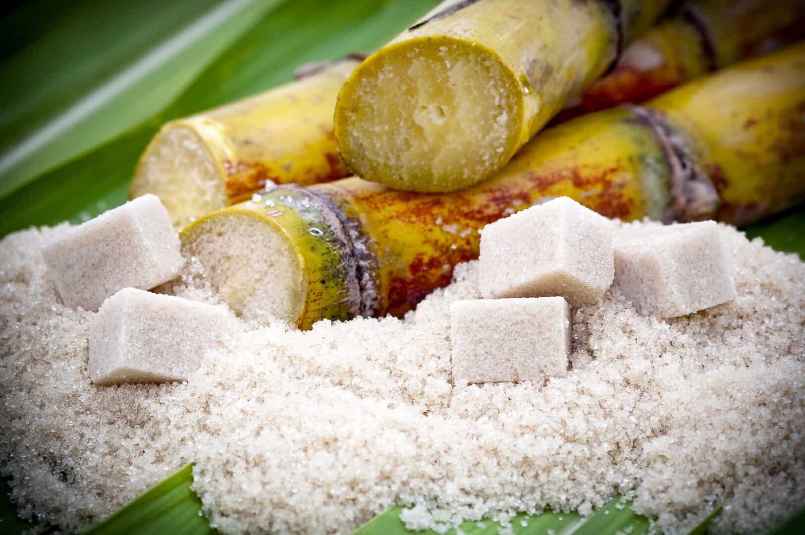 Più complesso del genoma umano: svelare i misteri del DNA della canna da zucchero
