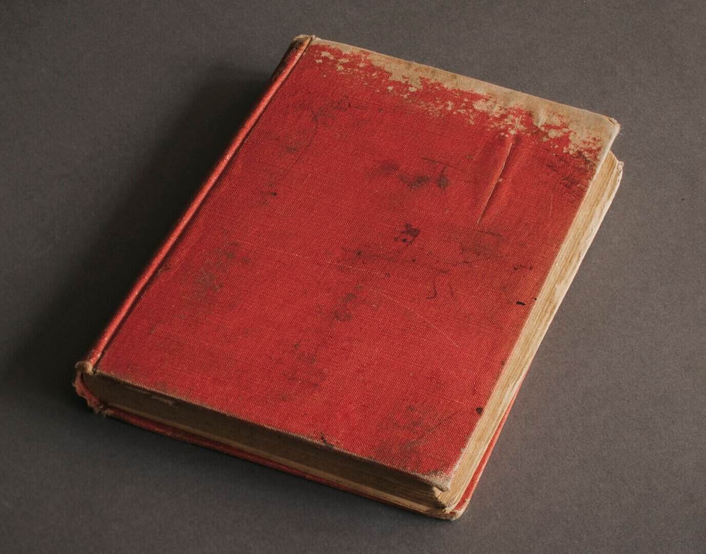Cancel culture? Harvard rimuove pelle umana dalla copertina di un libro del 1880