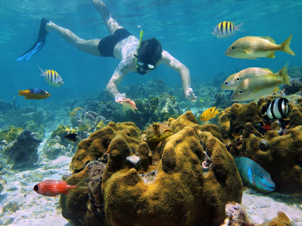Cozumel, Messico: un paradiso delle immersioni nel cuore dei Caraibi