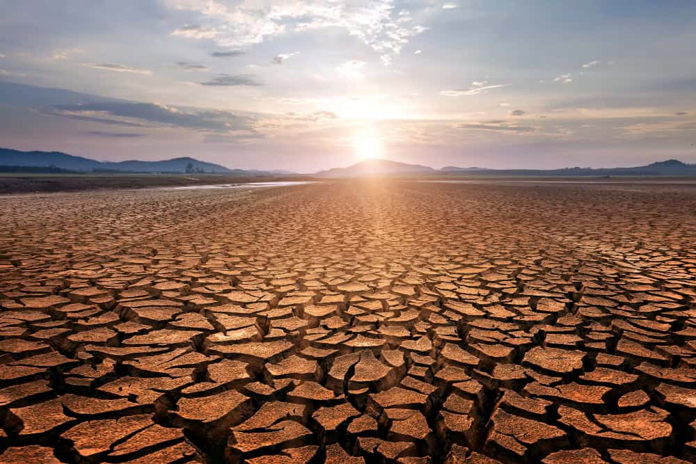 desertificazione