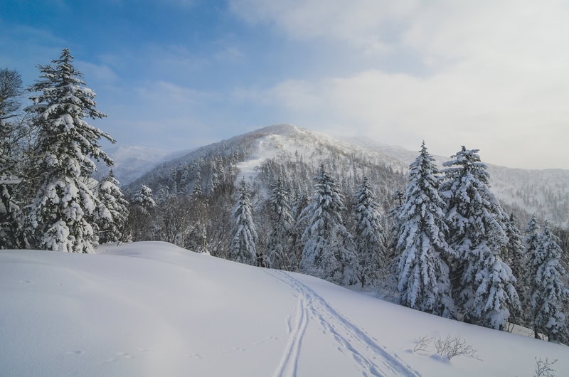 Esplorazione dell’incontaminata bellezza naturale dell’isola di Sakhalin, Russia: un’analisi approfondita