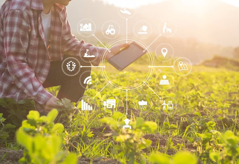 L’evoluzione verde: l’essenziale ruolo delle tecnologie pulite per il successo sostenibile delle PMI