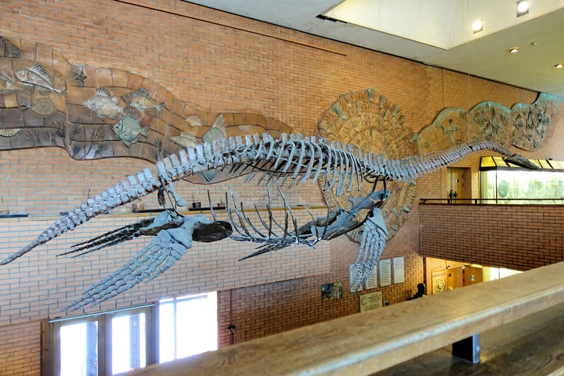 Ritrovato in Marocco fossile di rettile marino spaventoso