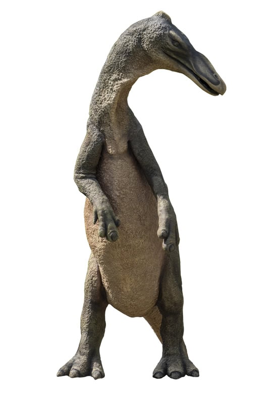 Scienziati scoprono fossili strani di dinosauri a becco d’anatra in Marocco