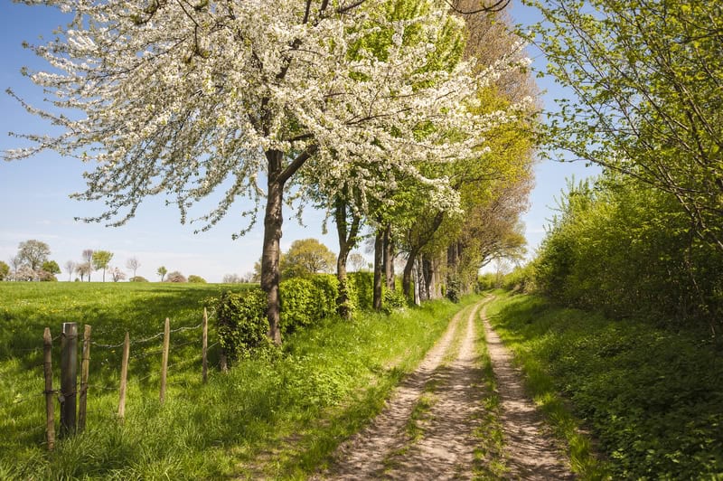 dreamstime s 31709784
