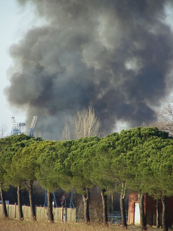 Incendi gravi nel sud della Cina causano 4 morti e generano enormi nuvole pirotecniche