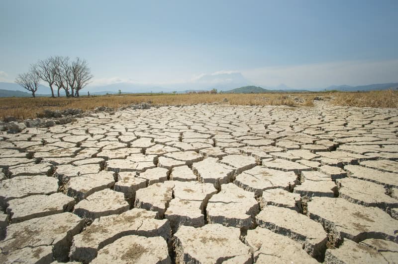 Giornata mondiale dell’acqua: siccità e calore estremo colpiscono milioni di persone da Marocco a India