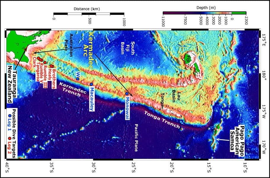La Fossa delle Kermadec: alla scoperta di un ambiente sottomarino inospitale