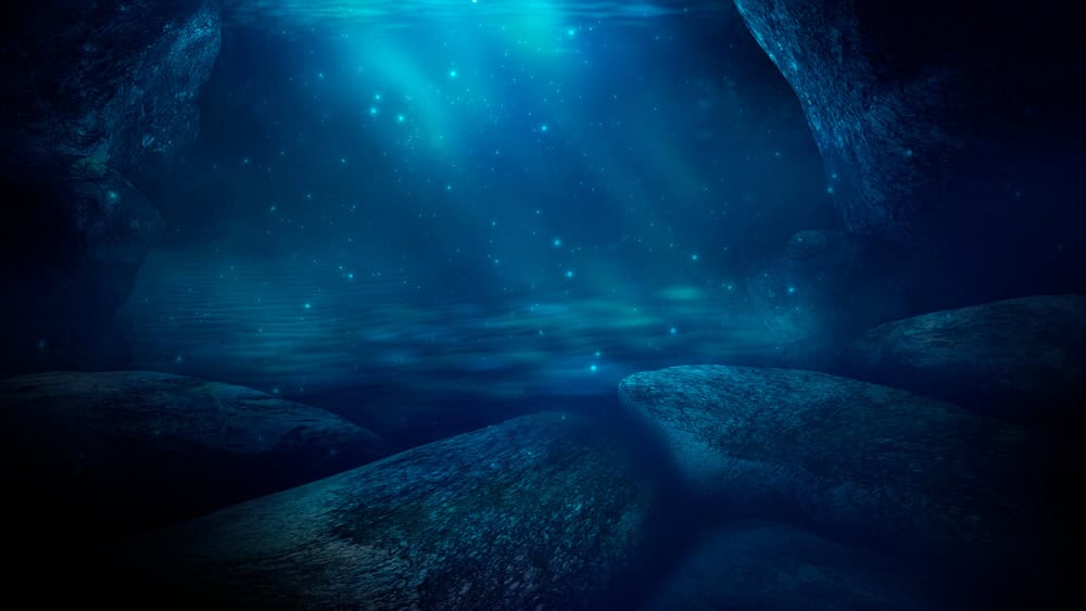 La Fossa di Nares: un ambiente estremo tra i meno esplorati del pianeta