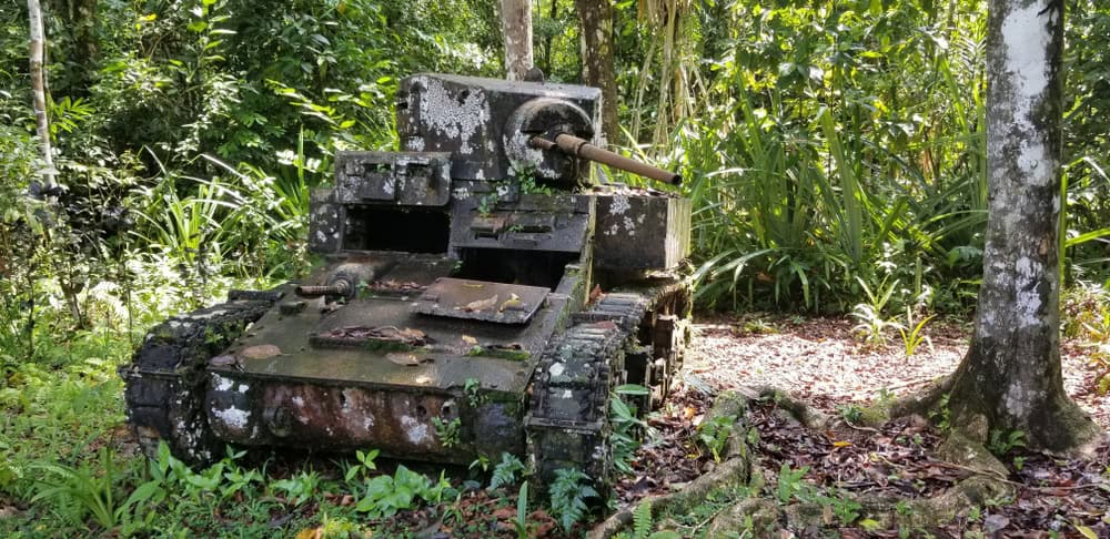 L’isola di‌ Guadalcanal, Isole Salomone: la natura selvaggia al centro di una battaglia cruciale della storia umana