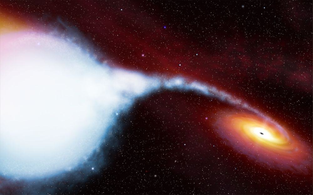 nebulosa del cigno