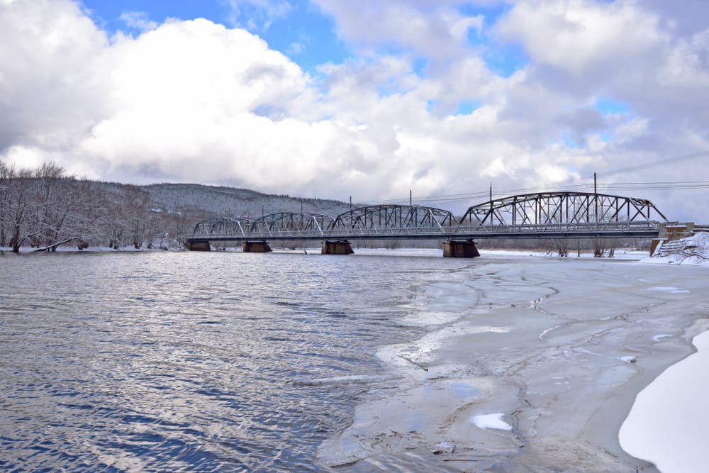 new brunswick tempesta gelo