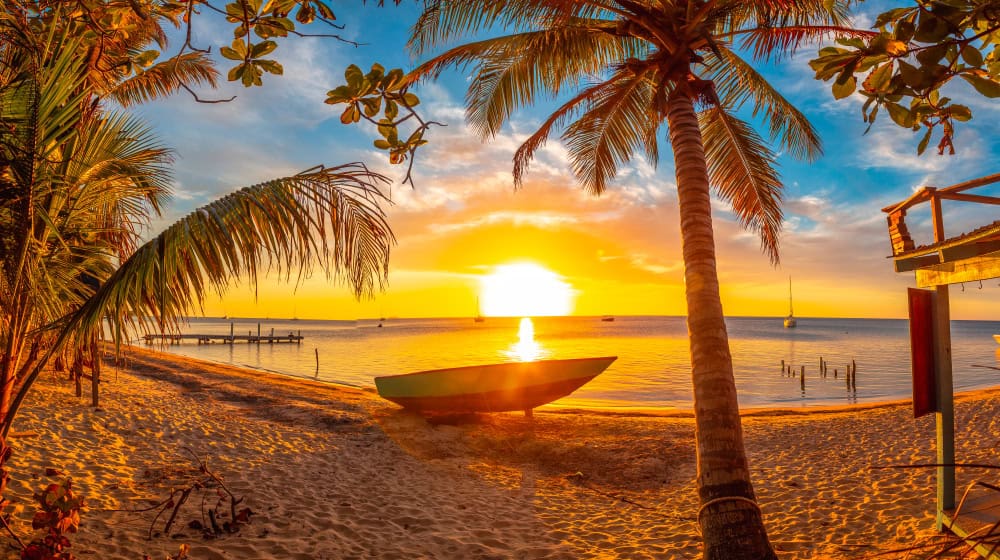 L’isola di Roatán, Honduras: un modello di biodiversità e conservazione marina
