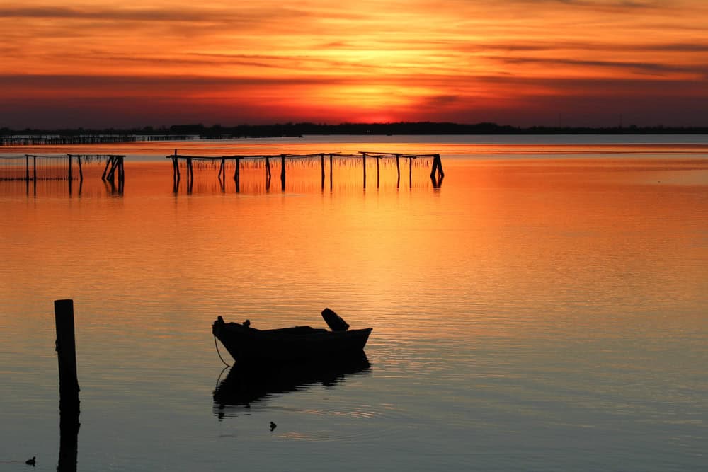 rovigo porto tolle delta del po