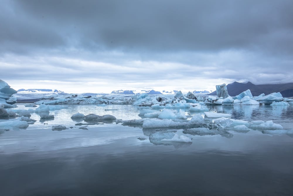 Ondate di caldo marino nell’oceano artico? Cosa sono e perché avvengono