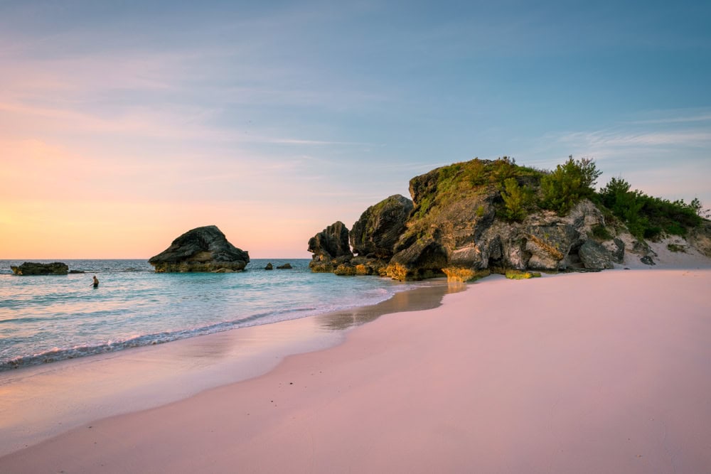 spiaggia rosa bermuda