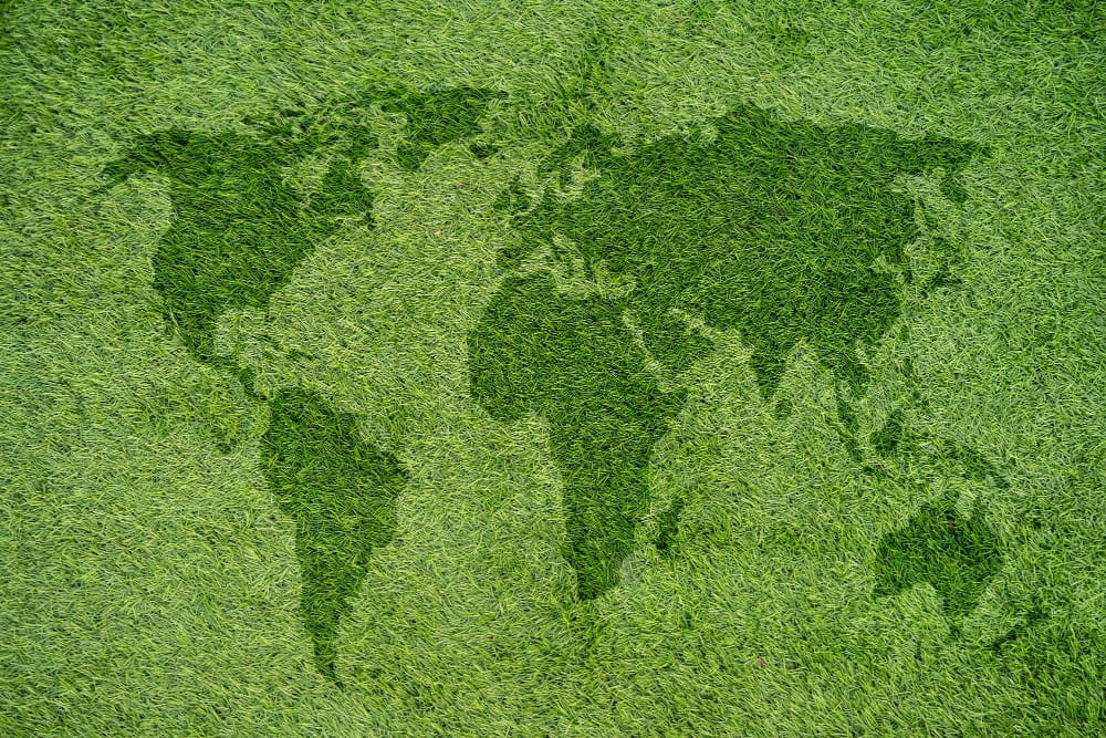 La transizione verde è in atto, ma il motivo non è quello che pensiamo