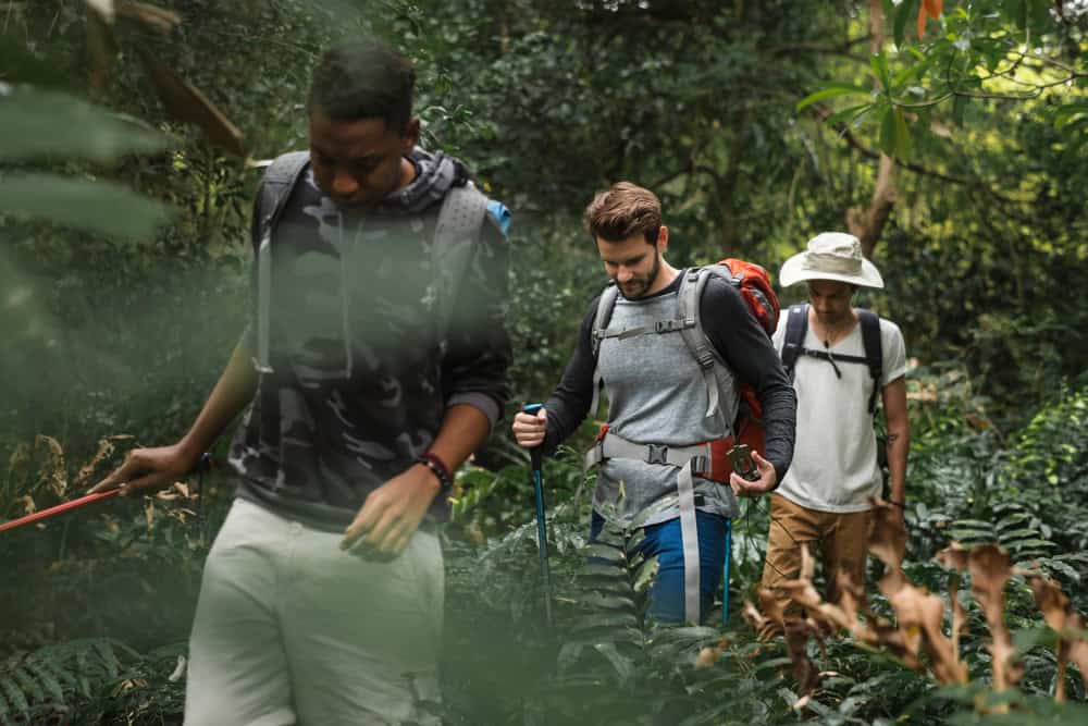 turismo sostenibile trekking foresta