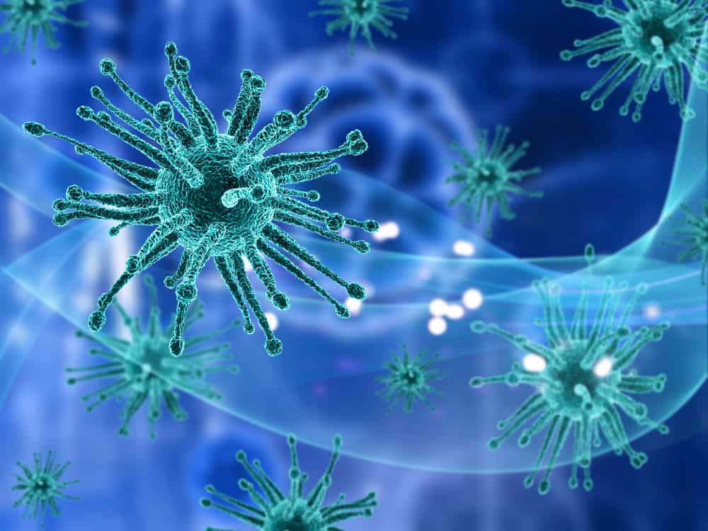 virus uomo animali