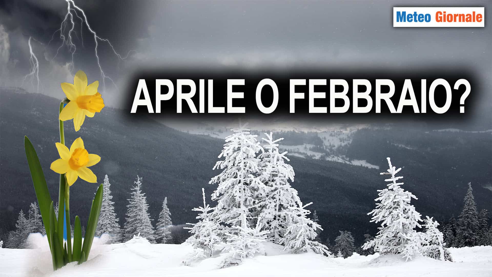 Aprile o Febbraio? Il METEO dei prossimi giorni sarà “strano”