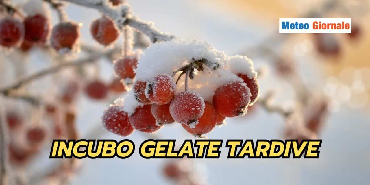 INCUBO GELATE TARDIVE, un insidioso fenomeno meteo