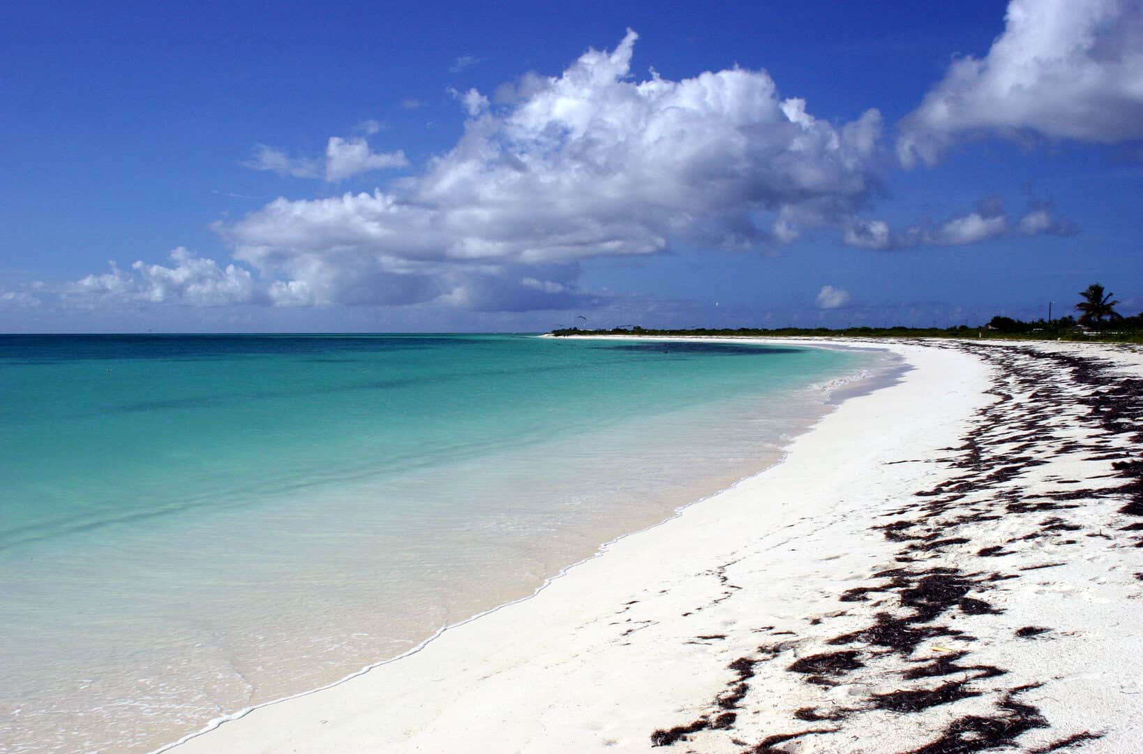 Scoperta di Anegada, Isole Vergini Britanniche: una meraviglia tra lagune e coralli