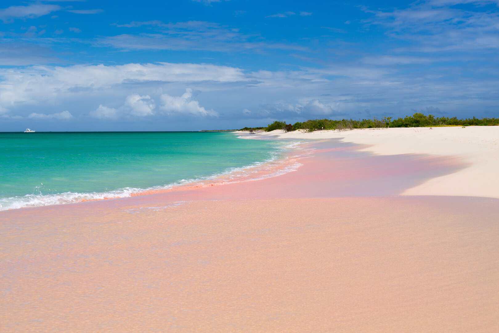 Barbuda: la rinascita post-uragano di un paradiso dei Caraibi